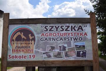 Фотографии Фермерские дома Agroturystyka SZYSZKA г. Polnica (Польша) №1 Фото Фермерские дома Agroturystyka SZYSZKA г. Polnica 1